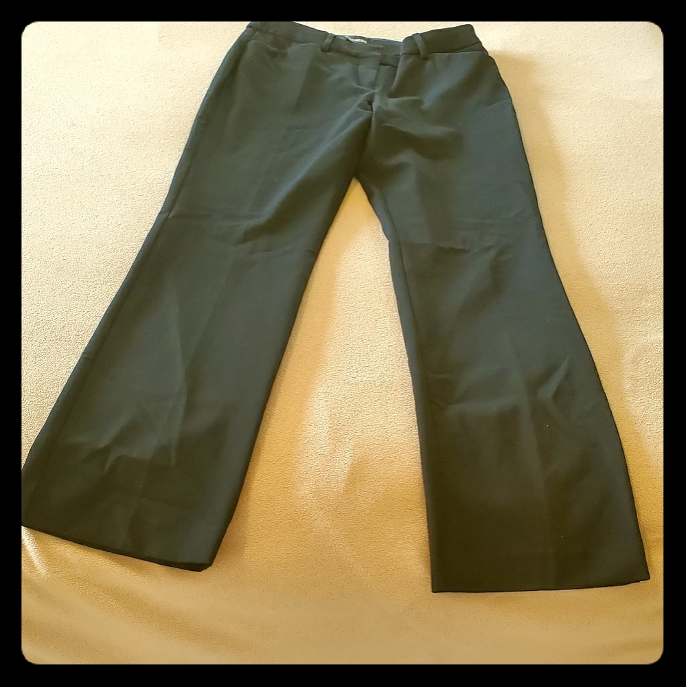 Express Dress Pants